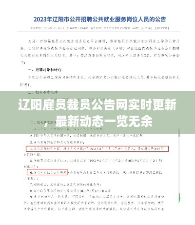 2025年2月 第195頁