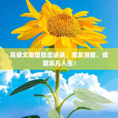 高級(jí)文案館勵(lì)志語錄，激發(fā)潛能，成就非凡人生！