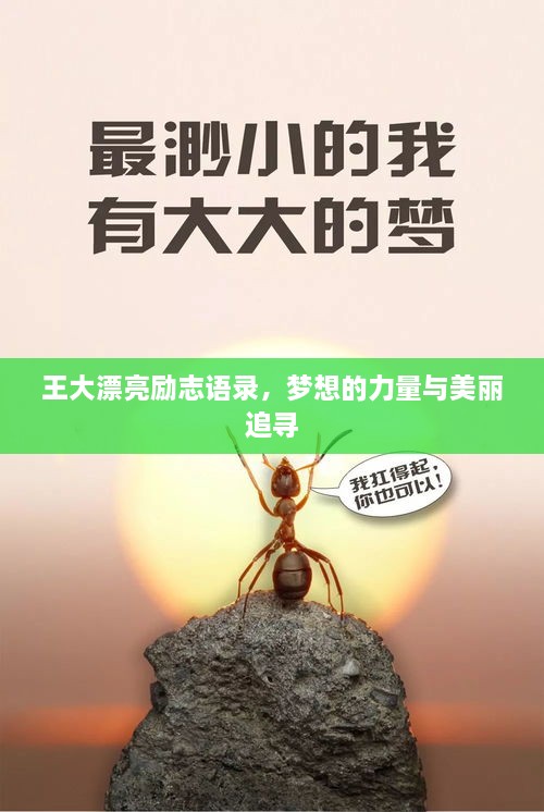 王大漂亮勵(lì)志語錄，夢(mèng)想的力量與美麗追尋