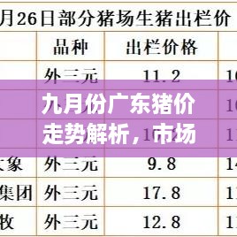 九月份廣東豬價(jià)走勢(shì)解析，市場(chǎng)行情、價(jià)格變動(dòng)一網(wǎng)打盡