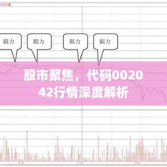 股市聚焦，代碼002042行情深度解析