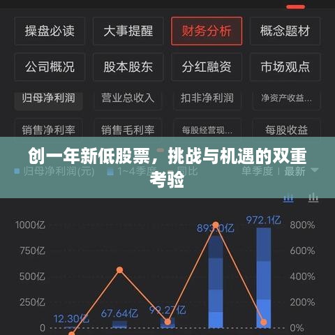 創(chuàng)一年新低股票，挑戰(zhàn)與機遇的雙重考驗