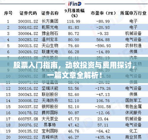 股票入門指南，動(dòng)牧投資與費(fèi)用探討，一篇文章全解析！