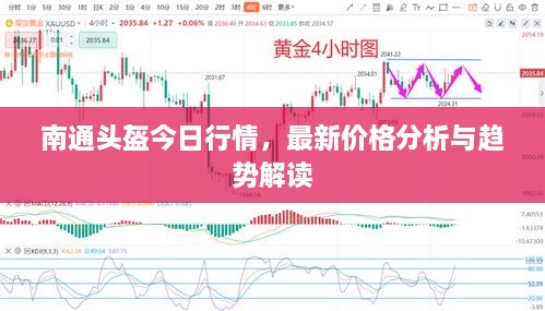 南通頭盔今日行情，最新價格分析與趨勢解讀