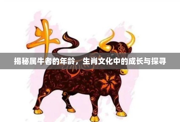 揭秘屬牛者的年齡，生肖文化中的成長(zhǎng)與探尋
