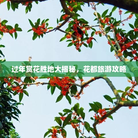 過年賞花勝地大揭秘，花都旅游攻略
