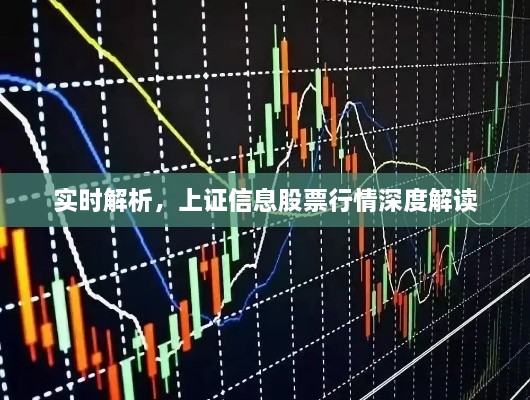 實(shí)時(shí)解析，上證信息股票行情深度解讀