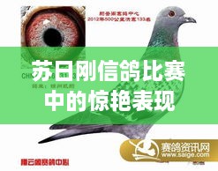 解決方案 第68頁