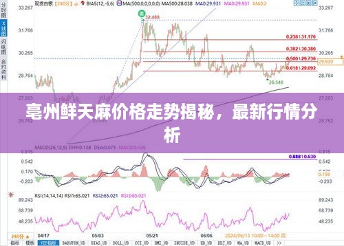 亳州鮮天麻價格走勢揭秘，最新行情分析