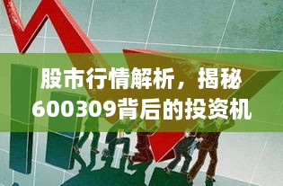 股市行情解析，揭秘600309背后的投資機會與挑戰(zhàn)