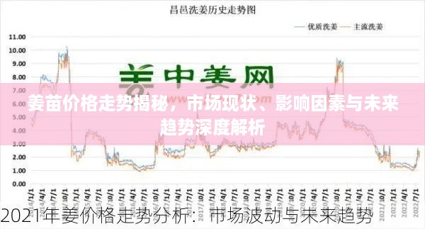 姜苗價格走勢揭秘，市場現(xiàn)狀、影響因素與未來趨勢深度解析