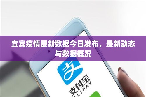 宜賓疫情最新數(shù)據(jù)今日發(fā)布，最新動態(tài)與數(shù)據(jù)概況