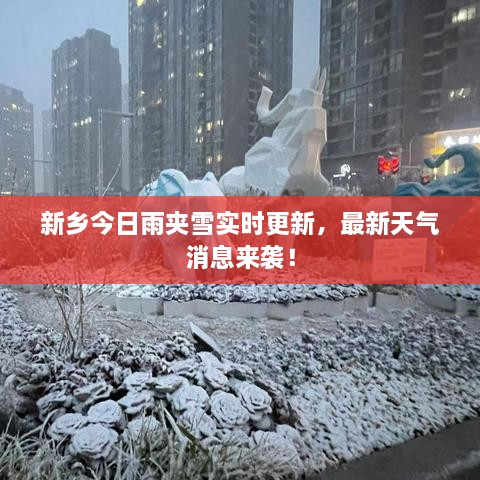 新鄉(xiāng)今日雨夾雪實(shí)時(shí)更新，最新天氣消息來(lái)襲！
