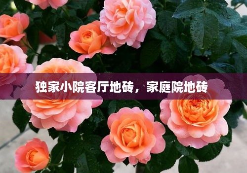 獨(dú)家小院客廳地磚，家庭院地磚 