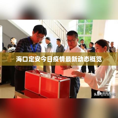 ?？诙ò步袢找咔樽钚聞討B(tài)概覽
