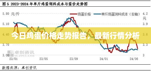 今日雞蛋價格走勢報(bào)告，最新行情分析