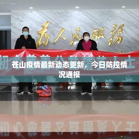 蒼山疫情最新動態(tài)更新，今日防控情況通報