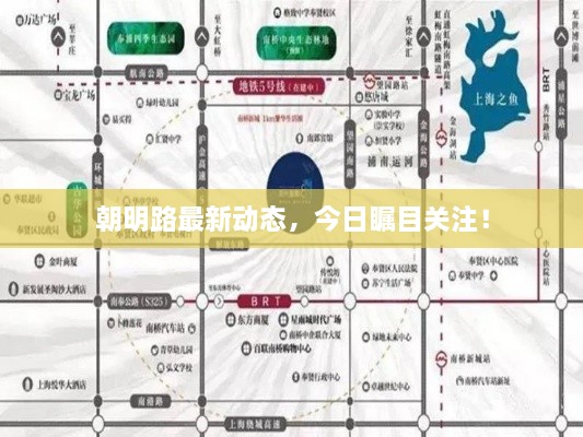朝明路最新動態(tài)，今日矚目關(guān)注！