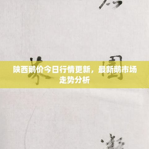 陜西鵝價(jià)今日行情更新，最新鵝市場(chǎng)走勢(shì)分析