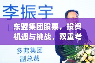 東盟集團(tuán)股票，投資機(jī)遇與挑戰(zhàn)，雙重考量不容錯(cuò)過