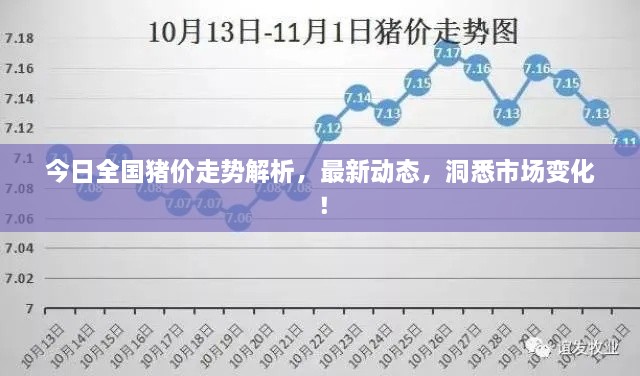今日全國(guó)豬價(jià)走勢(shì)解析，最新動(dòng)態(tài)，洞悉市場(chǎng)變化！