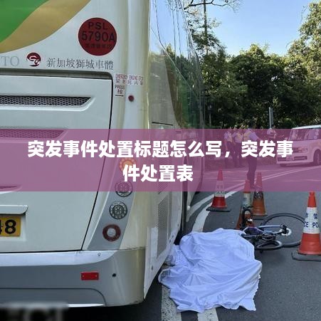 突發(fā)事件處置標(biāo)題怎么寫，突發(fā)事件處置表 
