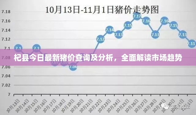 杞縣今日最新豬價(jià)查詢及分析，全面解讀市場(chǎng)趨勢(shì)