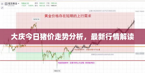 大慶今日豬價(jià)走勢(shì)分析，最新行情解讀