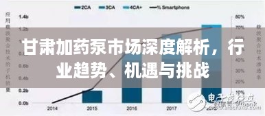 甘肅加藥泵市場深度解析，行業(yè)趨勢、機(jī)遇與挑戰(zhàn)