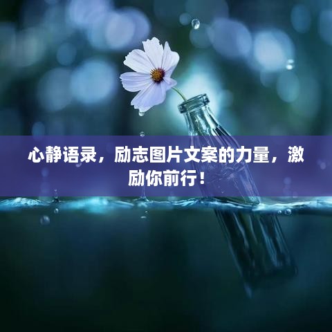 心靜語(yǔ)錄，勵(lì)志圖片文案的力量，激勵(lì)你前行！