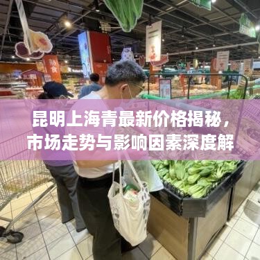 昆明上海青最新價(jià)格揭秘，市場(chǎng)走勢(shì)與影響因素深度解析