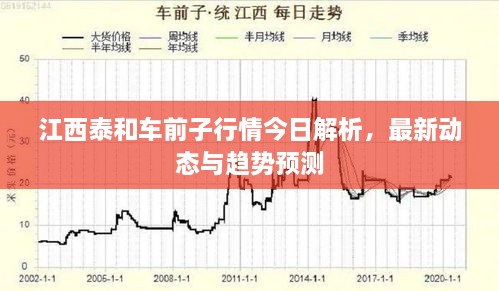 江西泰和車前子行情今日解析，最新動態(tài)與趨勢預測