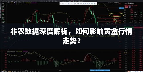 非農數據深度解析，如何影響黃金行情走勢？