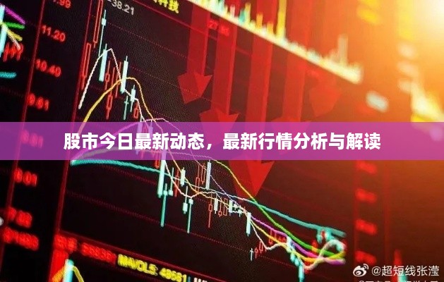 股市今日最新動(dòng)態(tài)，最新行情分析與解讀