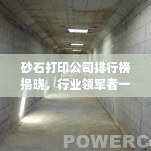 砂石打印公司排行榜揭曉，行業(yè)領軍者一覽
