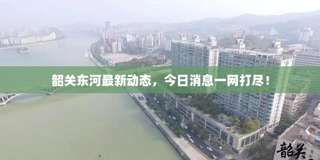 韶關(guān)東河最新動態(tài)，今日消息一網(wǎng)打盡！