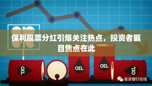 保利股票分紅引爆關注熱點，投資者矚目焦點在此
