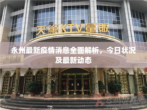 永州最新疫情消息全面解析，今日狀況及最新動態(tài)