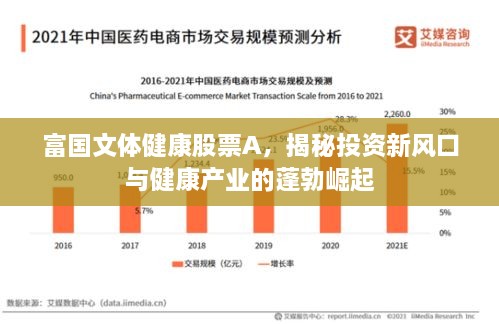 富國(guó)文體健康股票A，揭秘投資新風(fēng)口與健康產(chǎn)業(yè)的蓬勃崛起