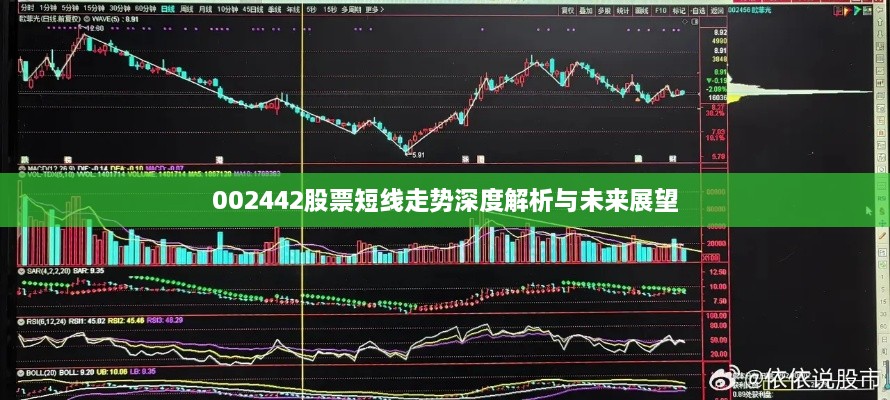 002442股票短線走勢(shì)深度解析與未來(lái)展望