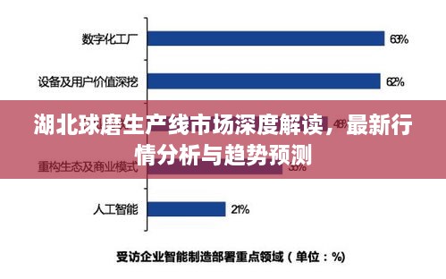 湖北球磨生產(chǎn)線市場(chǎng)深度解讀，最新行情分析與趨勢(shì)預(yù)測(cè)