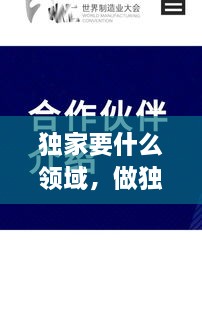 獨(dú)家要什么領(lǐng)域，做獨(dú)家代理有什么要求 
