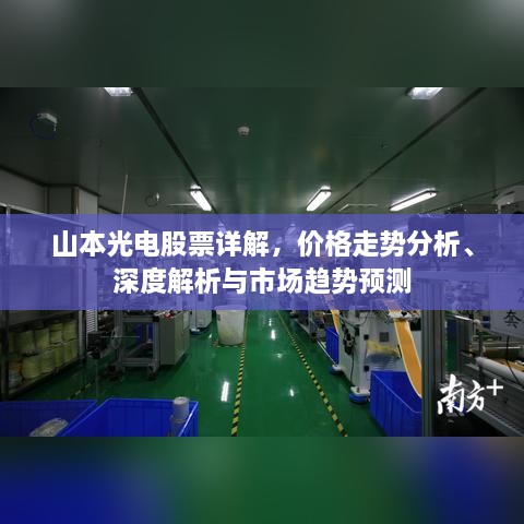2025年3月19日