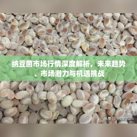 納豆菌市場行情深度解析，未來趨勢、市場潛力與機(jī)遇挑戰(zhàn)
