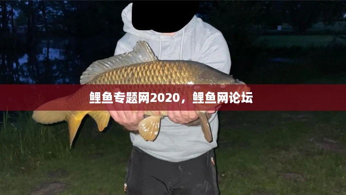 沉灶產(chǎn)蛙
