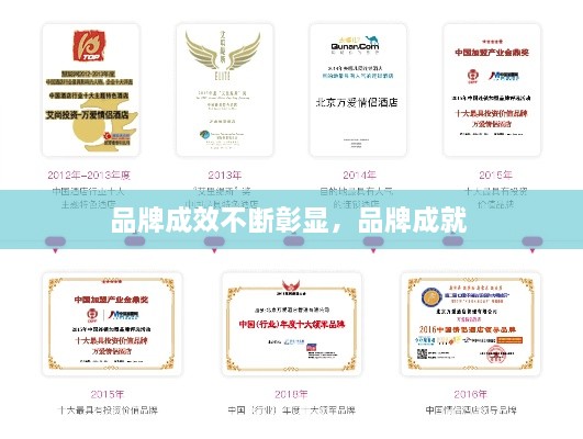 品牌成效不斷彰顯，品牌成就 