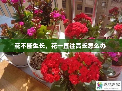 不翼而飛