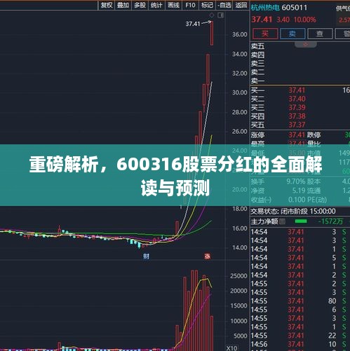 重磅解析，600316股票分紅的全面解讀與預(yù)測