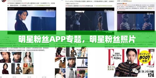 明星粉絲APP專題，明星粉絲照片 