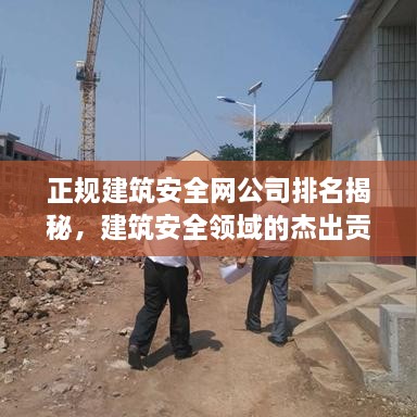 正規(guī)建筑安全網(wǎng)公司排名揭秘，建筑安全領(lǐng)域的杰出貢獻(xiàn)者